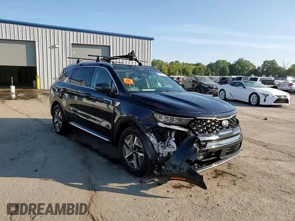 2021 Kia Sorento EX with VIN KNDRH4LG2M5042226, listed as a Copart auction lot 80205105 with 79,220 mi miles and Salvage title. Bid and sale history available at DreamBid. Image 14.