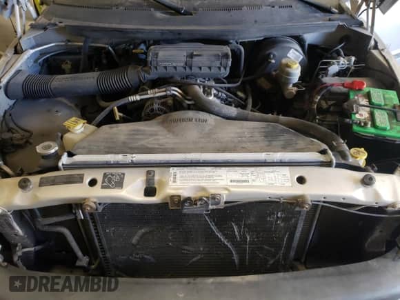 1999 Dodge 1500 z VIN 3B7HF12Y1XG153924, wystawiony jako Copart lot #43377405 z przebiegiem 111 496 mil mil oraz Szkoda całkowita • Salvage title. Historia ofert i sprzedaży dostępna na DreamBid. Obrazek 11.