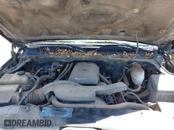 2004 Cadillac Escalade z VIN 1GYEC63T64R294991, wystawiony jako IAAI lot #42218251 z przebiegiem 316 235 mil mil oraz . Historia ofert i sprzedaży dostępna na DreamBid. Obrazek 10.