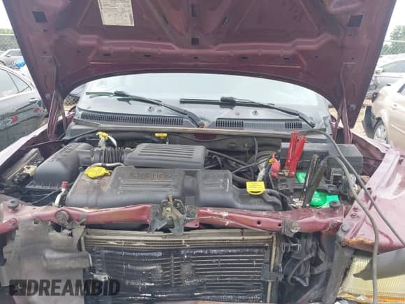 2002 Dodge Dakota SLT with VIN 1B7HG48N72S534240, listed as a IAAI auction lot 42718329 with 176,675 mi miles and . Bid and sale history available at DreamBid. Image 10.
