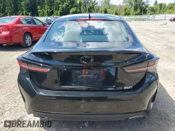 2022 Lexus RC 300 with VIN JTHD85EC8N5006650, listed as a Copart auction lot 69964045 with 16,784 mi miles and Salvage title. Bid and sale history available at DreamBid. Image 6.