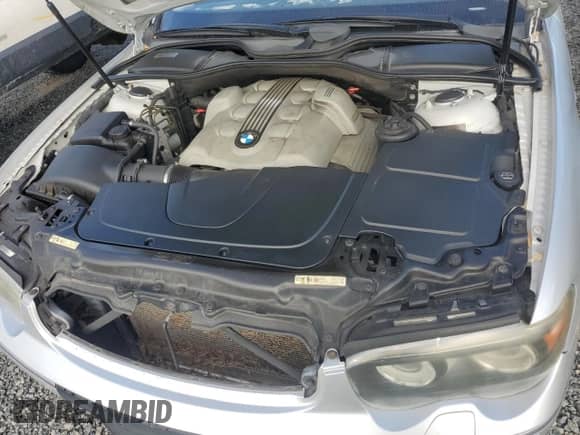 2005 BMW 7 Series 745Li with VIN WBAGN63525DS56017, listed as a Copart auction lot 74666144 with Not provided miles and Salvage title. Bid and sale history available at DreamBid. Image 11.