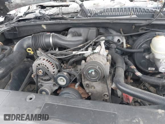2005 Chevrolet Silverado 1500 Work Truck with VIN 1GCEC14X25Z324919, listed as a IAAI auction lot 41020016 with Not provided miles and . Bid and sale history available at DreamBid. Image 10.