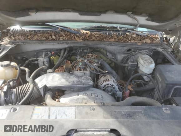 2003 Chevrolet Silverado 1500 LS with VIN 1GCEC14TX3Z136790, listed as a Copart auction lot 90622575 with 164,258 mi miles and Clean title. Bid and sale history available at DreamBid. Image 11.