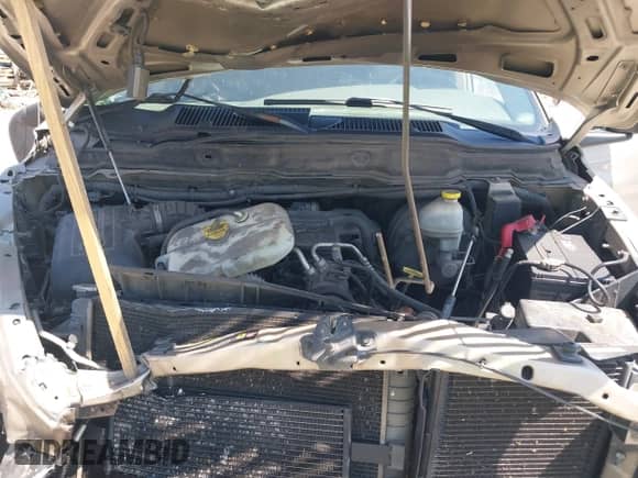 2004 Dodge 1500 SLT z VIN 1D7HU18D44J220882, wystawiony jako IAAI lot #42691488 z przebiegiem 206 416 mil mil oraz . Historia ofert i sprzedaży dostępna na DreamBid. Obrazek 10.