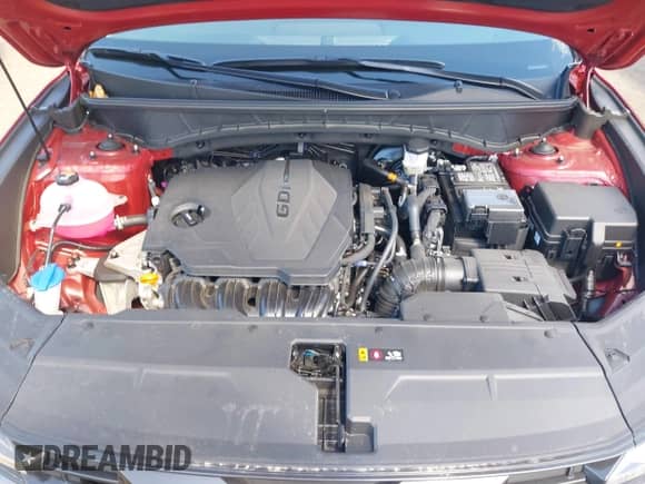 2025 Hyundai Tucson SEL Convenience with VIN 5NMJCCDEXSH490274, listed as a IAAI auction lot 43043807 with 6,245 mi miles and . Bid and sale history available at DreamBid. Image 10.