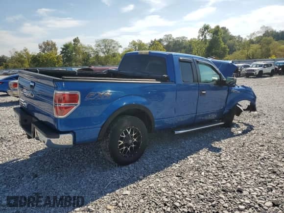 2010 Ford F-150 XL with VIN 1FTEX1E87AFD31226, listed as a Copart auction lot 81873445 with 136,524 mi miles and Salvage title. Bid and sale history available at DreamBid. Image 3.