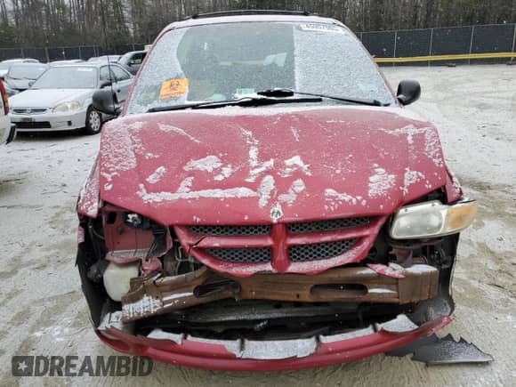 1999 Dodge Caravan SE with VIN 1B4GP44L4XB876183, listed as a Copart auction lot 45957965 with Not provided miles and Salvage title. Bid and sale history available at DreamBid. Image 5.