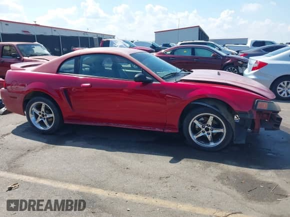 1999 Ford Mustang GT with VIN 1FAFP42X2XF107992, listed as a IAAI auction lot 43240153 with Not provided miles and . Bid and sale history available at DreamBid. Image 14.