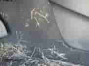 2024 Chevrolet Malibu LT с VIN 1G1ZD5ST1RF129996, выставлен на аукционе IAAI как лот 43373953 с пробегом Не указан миль и . История ставок и продаж доступна на DreamBid. Изображение 6.