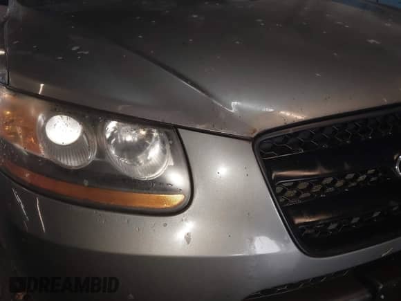 2009 Hyundai Santa Fe GLS z VIN 5NMSG13D09H254779, wystawiony jako IAAI lot #43541006 z przebiegiem 213 396 mil mil oraz . Historia ofert i sprzedaży dostępna na DreamBid. Obrazek 6.