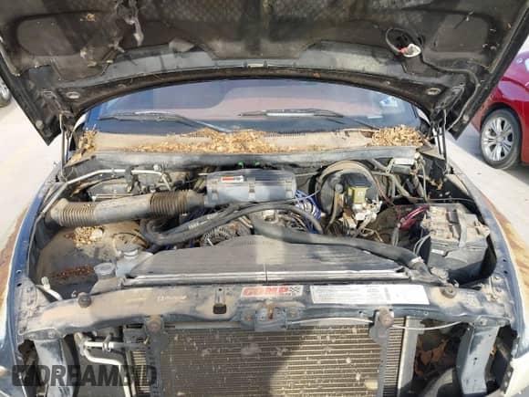 1994 Dodge 1500 z VIN 1B7HC16YXRS520611, wystawiony jako IAAI lot #42764906 z przebiegiem 181 142 mil mil oraz . Historia ofert i sprzedaży dostępna na DreamBid. Obrazek 10.