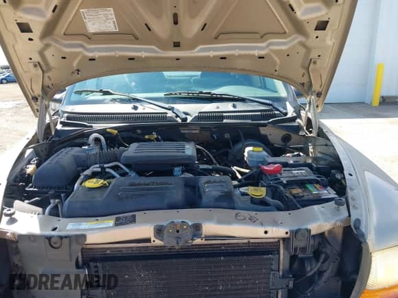 2002 Dodge Dakota SLT with VIN 1B7HG48N32S644931, listed as a IAAI auction lot 42320007 with 88,367 mi miles and . Bid and sale history available at DreamBid. Image 10.