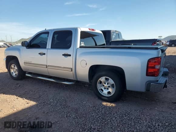 2013 Chevrolet Silverado 1500 LT with VIN 3GCPCSE02DG261139, listed as a Copart auction lot 91174195 with 118,901 mi miles and Clean title. Bid and sale history available at DreamBid. Image 2.