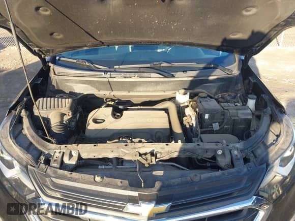 2019 Chevrolet Equinox LS z VIN 2GNAXSEV6K6232863, wystawiony jako IAAI lot #43398631 z przebiegiem 82 231 mil mil oraz . Historia ofert i sprzedaży dostępna na DreamBid. Obrazek 10.