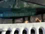 1993 Chevrolet Blazer с VIN 1GNCS13W2P2176146, выставлен на аукционе Copart как лот 83377744 с пробегом 135 816 миль миль и На запчасти • Non repairable. История ставок и продаж доступна на DreamBid. Изображение 13.