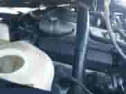 2004 Chevrolet Tracker с VIN 2CNBE134746901695, выставлен на аукционе IAAI как лот 41519592 с пробегом 295 969 миль миль и . История ставок и продаж доступна на DreamBid. Изображение 21.