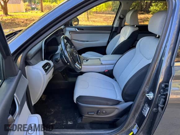 2020 Hyundai Palisade SEL с VIN KM8R2DHE0LU151986, выставлен на аукционе Copart как лот 85011935 с пробегом 97 719 миль миль и Чистый • Clean title. История ставок и продаж доступна на DreamBid. Изображение 11.