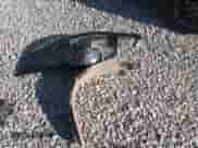 2013 Chevrolet Impala Police with VIN 2G1WD5E3XD1162414, listed as a Copart auction lot 53910565 with 146,081 mi miles and Salvage title. Bid and sale history available at DreamBid. Image 12.