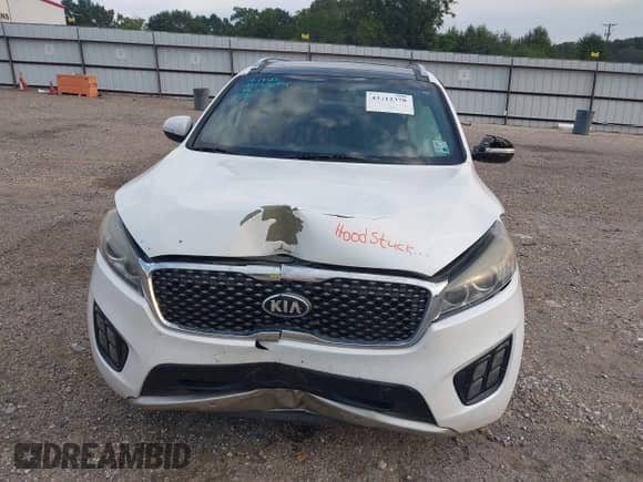 2016 Kia Sorento SXL с VIN 5XYPKDA13GG141804, выставлен на аукционе IAAI как лот 43312378 с пробегом 202 688 миль миль и . История ставок и продаж доступна на DreamBid. Изображение 10.