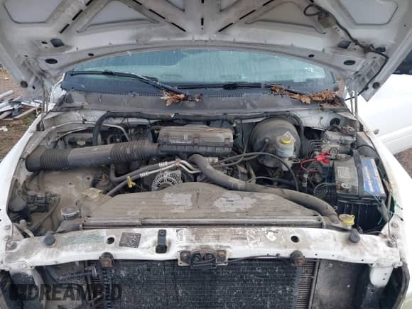 2001 Dodge 1500 with VIN 1B7HF16Y41S257527, listed as a IAAI auction lot 41827940 with 234,885 mi miles and . Bid and sale history available at DreamBid. Image 10.