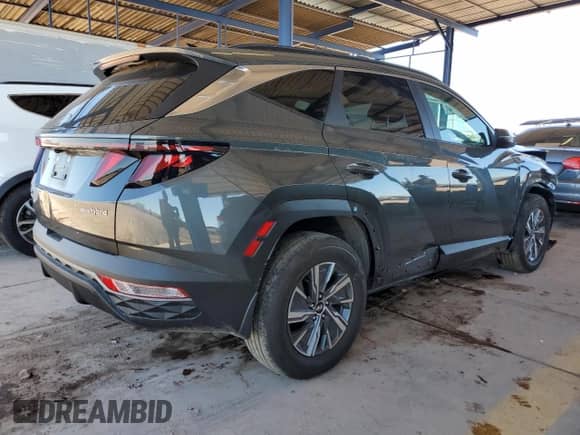 2024 Hyundai Tucson Blue with VIN KM8JBCD14RU217958, listed as a Copart auction lot 56416425 with 29,546 mi miles and Salvage title. Bid and sale history available at DreamBid. Image 3.
