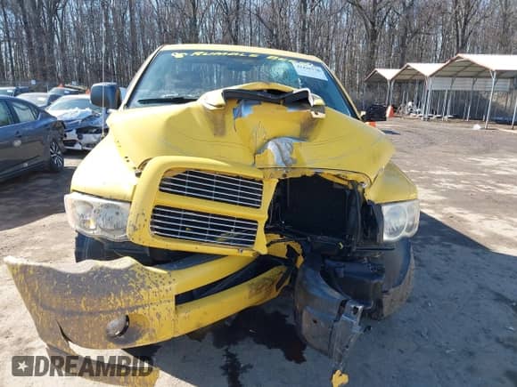 2005 Dodge 1500 SLT z VIN 1D7HU16D35J524581, wystawiony jako IAAI lot #41436316 z przebiegiem 96 100 mil mil oraz . Historia ofert i sprzedaży dostępna na DreamBid. Obrazek 12.