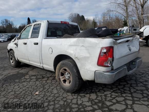 2010 Dodge 1500 ST with VIN 1D7RB1GK4AS126579, listed as a Copart auction lot 44359815 with Not provided miles and Salvage title. Bid and sale history available at DreamBid. Image 2.