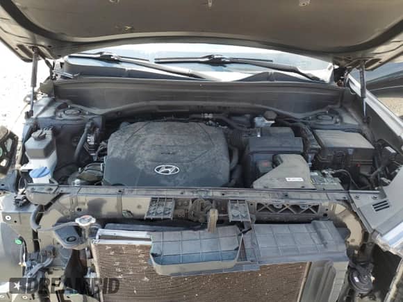 2020 Hyundai Palisade SEL с VIN KM8R34HE6LU082217, выставлен на аукционе Copart как лот 62625044 с пробегом 88 310 миль миль и Списание • Salvage title. История ставок и продаж доступна на DreamBid. Изображение 13.