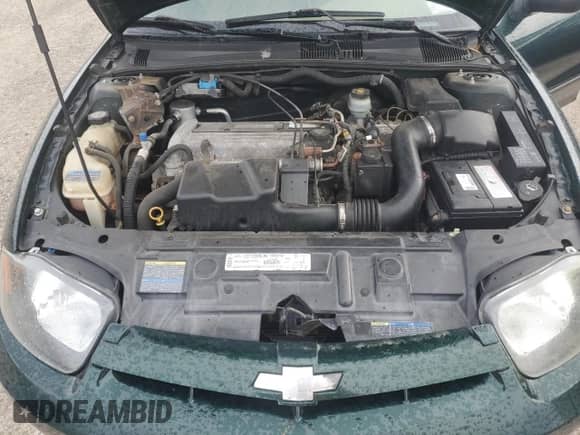 2003 Chevrolet Cavalier LS с VIN 1G1JF52F337368484, выставлен на аукционе Copart как лот 87115035 с пробегом 95 928 миль миль и Чистый • Clean title. История ставок и продаж доступна на DreamBid. Изображение 11.