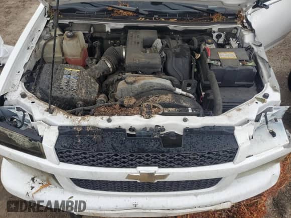 2008 Chevrolet Colorado LS with VIN 1GCCS19E788139454, listed as a Copart auction lot 70325244 with 61,291 mi miles and Salvage title. Bid and sale history available at DreamBid. Image 12.