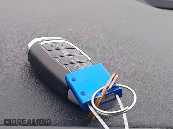 2020 Hyundai Palisade SEL с VIN KM8R34HE4LU079493, выставлен на аукционе IAAI как лот 43299366 с пробегом 48 485 миль миль и . История ставок и продаж доступна на DreamBid. Изображение 11.