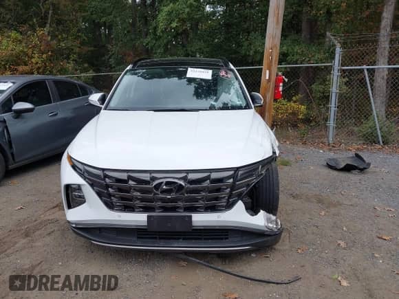 2024 Hyundai Tucson Limited с VIN 5NMJE3DE7RH347433, выставлен на аукционе IAAI как лот 43230428 с пробегом 38 806 миль миль и . История ставок и продаж доступна на DreamBid. Изображение 12.