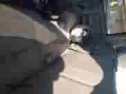 2005 Dodge 1500 SLT с VIN 1D7HU18N35S213698, выставлен на аукционе IAAI как лот 43468291 с пробегом Не указан миль и . История ставок и продаж доступна на DreamBid. Изображение 8.