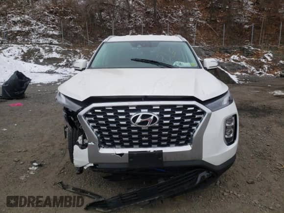 2020 Hyundai Palisade SEL с VIN KM8R2DHE9LU143496, выставлен на аукционе Copart как лот 71118472 с пробегом 33 140 миль миль и . История ставок и продаж доступна на DreamBid. Изображение 5.