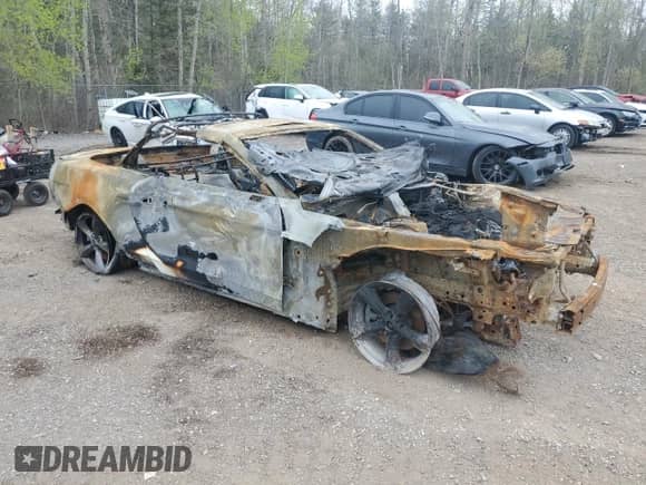2017 Ford Mustang V6 z VIN 1FATP8EM3H5331887, wystawiony jako Copart lot #53129245 z przebiegiem Nie podano mil oraz Nie do naprawy • Non repairable. Historia ofert i sprzedaży dostępna na DreamBid. Obrazek 4.