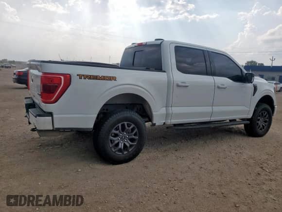 2023 Ford F-150 XL with VIN 1FTEW1E83PFB44870, listed as a Copart auction lot 67404595 with 69,006 mi miles and Salvage title. Bid and sale history available at DreamBid. Image 3.