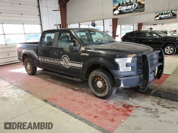 2017 Ford F-150 XL with VIN 1FTFW1EG4HFA88449, listed as a Copart auction lot 82377905 with 195,200 mi miles and Clean title. Bid and sale history available at DreamBid. Image 4.
