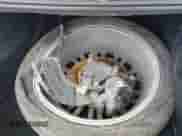 2013 Chrysler 300 C John Varvatos Limited Edition with VIN 2C3CCADG2DH698344, listed as a IAAI auction lot 41480379 with 166,423 mi miles and . Bid and sale history available at DreamBid. Image 18.