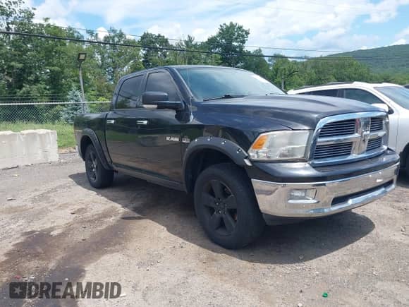 2010 Dodge 1500 SLT с VIN 1D7RV1CT4AS183418, выставлен на аукционе IAAI как лот 42706764 с пробегом 294 536 миль миль и . История ставок и продаж доступна на DreamBid. Изображение 1.