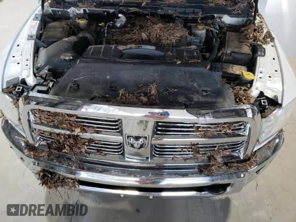 2012 Dodge RAM with VIN 3C63D3DL9CG262193, listed as a Copart auction lot 52399995 with Not provided miles and Salvage title. Bid and sale history available at DreamBid. Image 12.