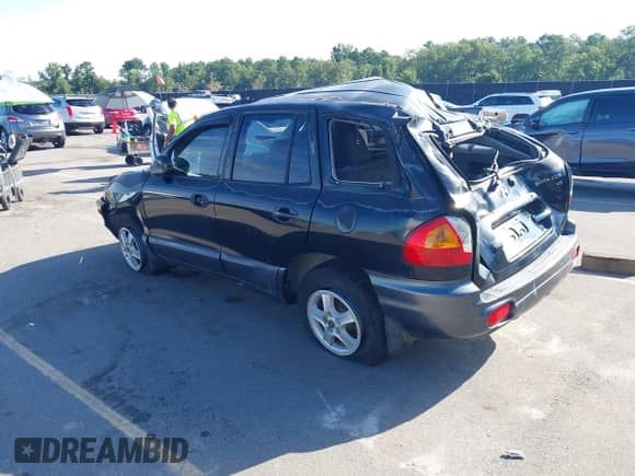 2003 Hyundai Santa Fe GLS z VIN KM8SC13D83U505457, wystawiony jako IAAI lot #42975340 z przebiegiem 218 045 mil mil oraz . Historia ofert i sprzedaży dostępna na DreamBid. Obrazek 3.