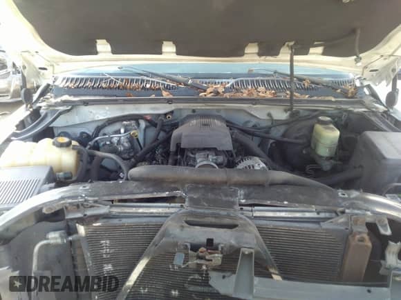 2000 Chevrolet Silverado 1500 LS z VIN 2GCEC19V3Y1294799, wystawiony jako IAAI lot #31945303 z przebiegiem 262 600 mil mil oraz . Historia ofert i sprzedaży dostępna na DreamBid. Obrazek 10.