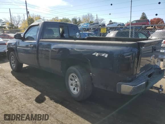 2010 Chevrolet Silverado 1500 Work Truck with VIN 1GCPKPE02AZ246944, listed as a Copart auction lot 77700694 with Not provided miles and Salvage title. Bid and sale history available at DreamBid. Image 2.