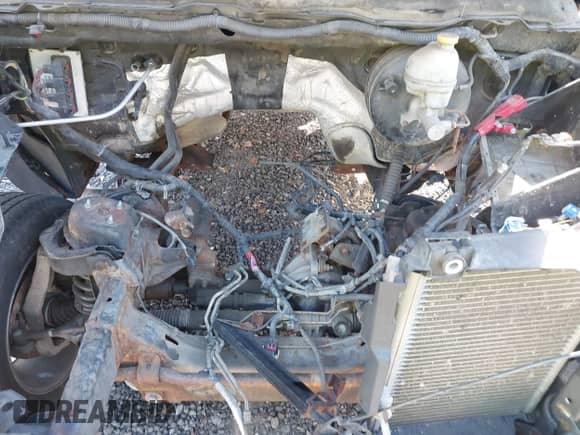 2007 Dodge 1500 SLT with VIN 1D7HU18287S267717, listed as a IAAI auction lot 43523642 with Not provided miles and . Bid and sale history available at DreamBid. Image 10.