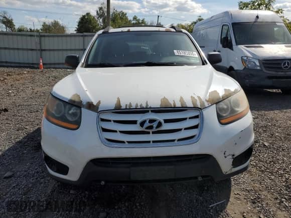 2010 Hyundai Santa Fe GLS with VIN 5NMSGDAB4AH413763, listed as a Copart auction lot 85185055 with 255,013 mi miles and Clean title. Bid and sale history available at DreamBid. Image 5.