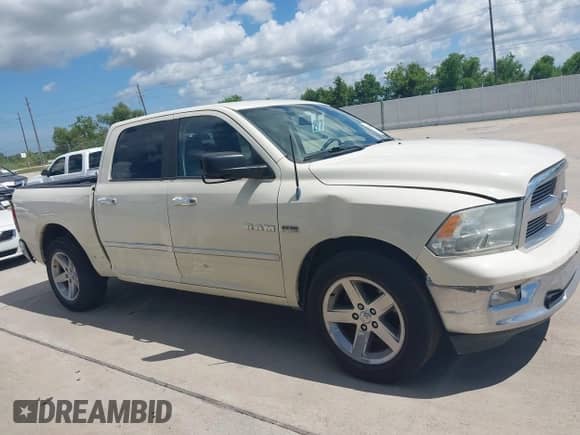 2010 Dodge 1500 SLT with VIN 1D7RB1CT2AS226288, listed as a IAAI auction lot 42809973 with 111,418 mi miles and . Bid and sale history available at DreamBid. Image 13.