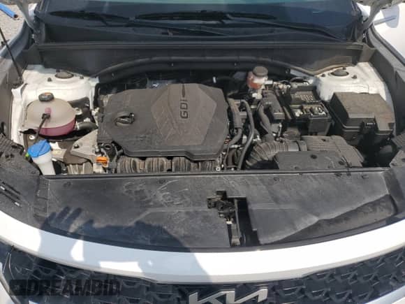 2022 Kia Sorento LX with VIN 5XYRG4LC6NG109614, listed as a Copart auction lot 81553375 with 83,147 mi miles and Salvage title. Bid and sale history available at DreamBid. Image 12.