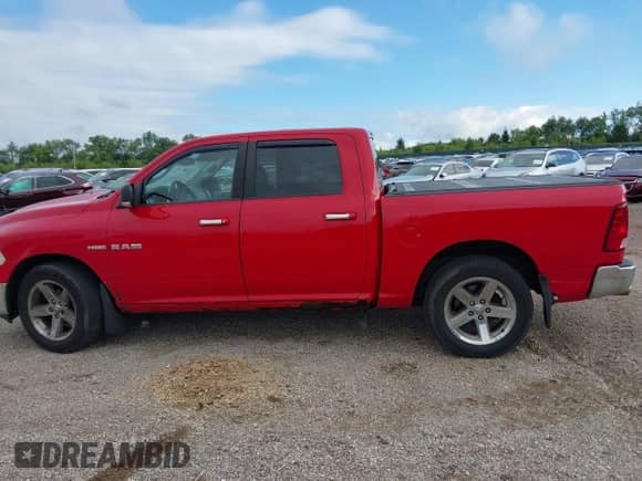 2010 Dodge 1500 SLT with VIN 1D7RB1CT1AS134864, listed as a IAAI auction lot 43029858 with 252,983 mi miles and . Bid and sale history available at DreamBid. Image 14.