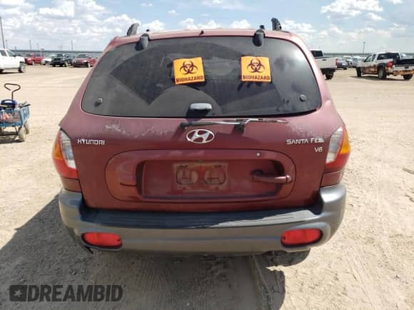 2003 Hyundai Santa Fe GLS с VIN KM8SC13D23U448494, выставлен на аукционе Copart как лот 62625224 с пробегом 7 094 миль миль и Списание • Salvage title. История ставок и продаж доступна на DreamBid. Изображение 6.